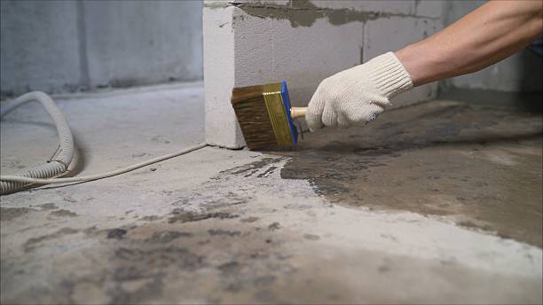 Top rated local Crawl Space Encapsulation specialists in Silver Lake, KS